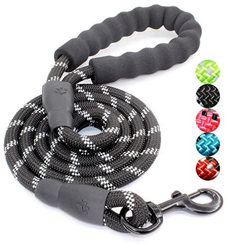 BAAPET 2/4/5/6 FT Dog Leash with Comfortable Padded Handle and Highly Reflective Threads for Smal... | Amazon (US)