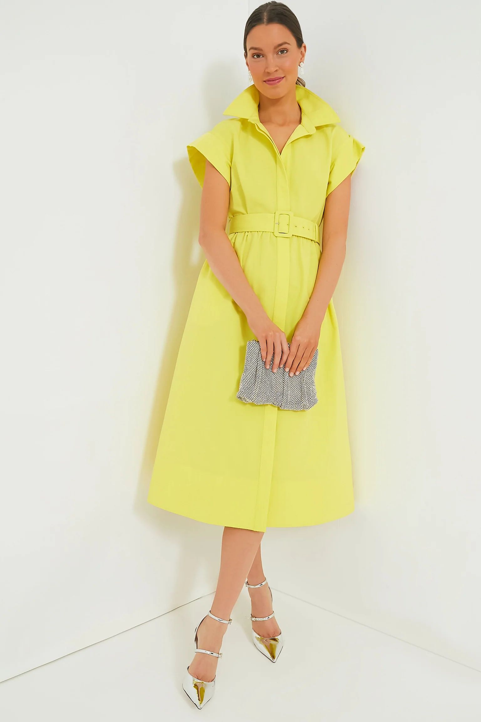 Citron Chloe Dress | Tuckernuck (US)