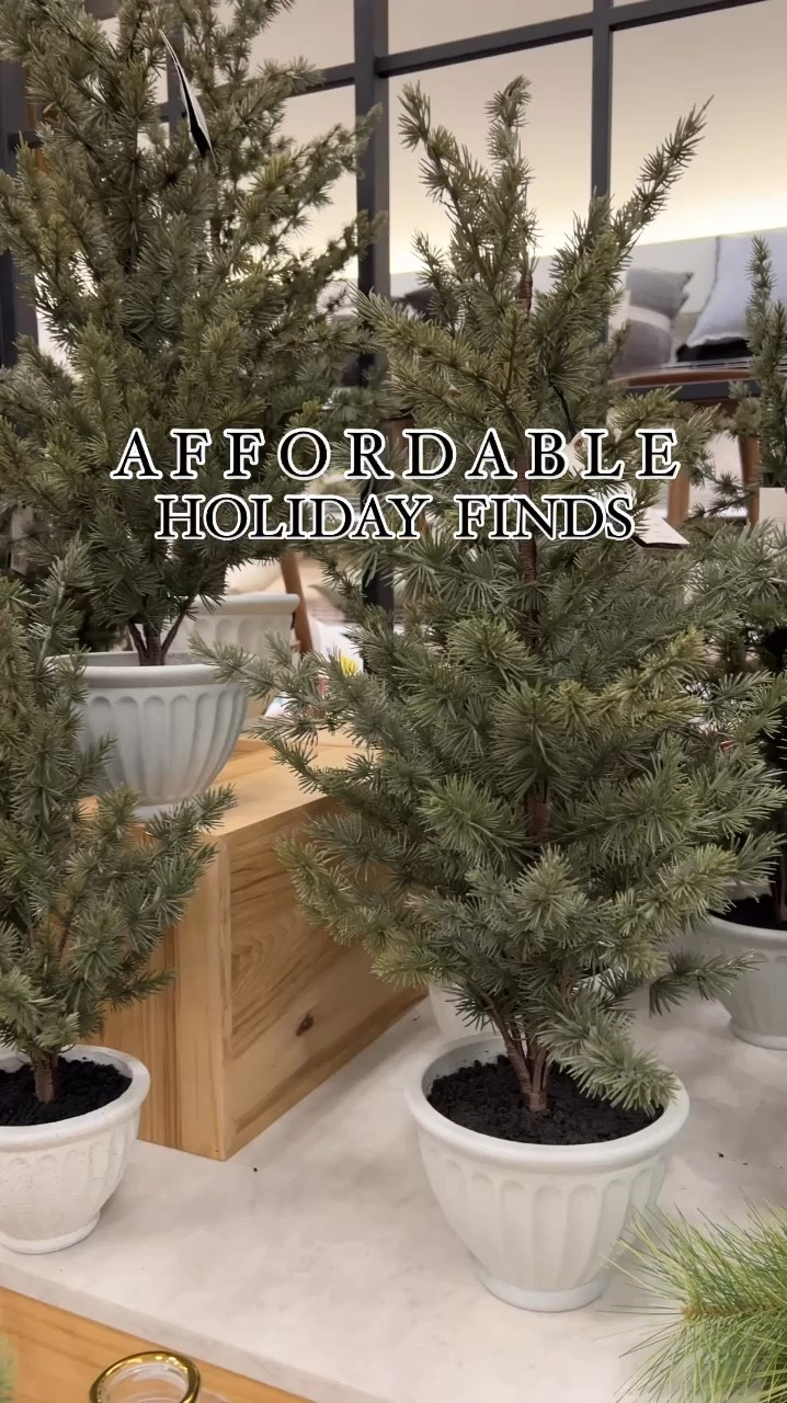 Target holiday finds

Christmas decor, holiday decor, decorations, holiday finds.

#LTKSeasonal #LTKHoliday #LTKHome