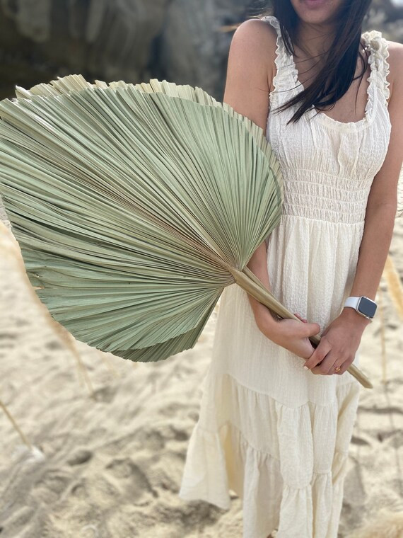 JUMBO Large Palm Leaves Dried Organic Tropical Palm Fans Dried | Etsy | Etsy (US)