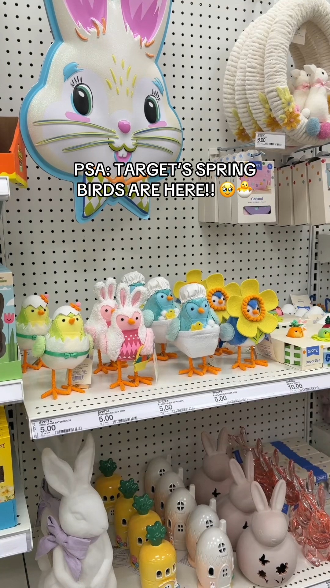 Target’s Spring & Easter birds have officially arrived!!☺️✨

#target #targetfinds #spring #springdecor #home #homedecor #easter #easterdecor #bird 

#LTKSeasonal #LTKHome #LTKvlog