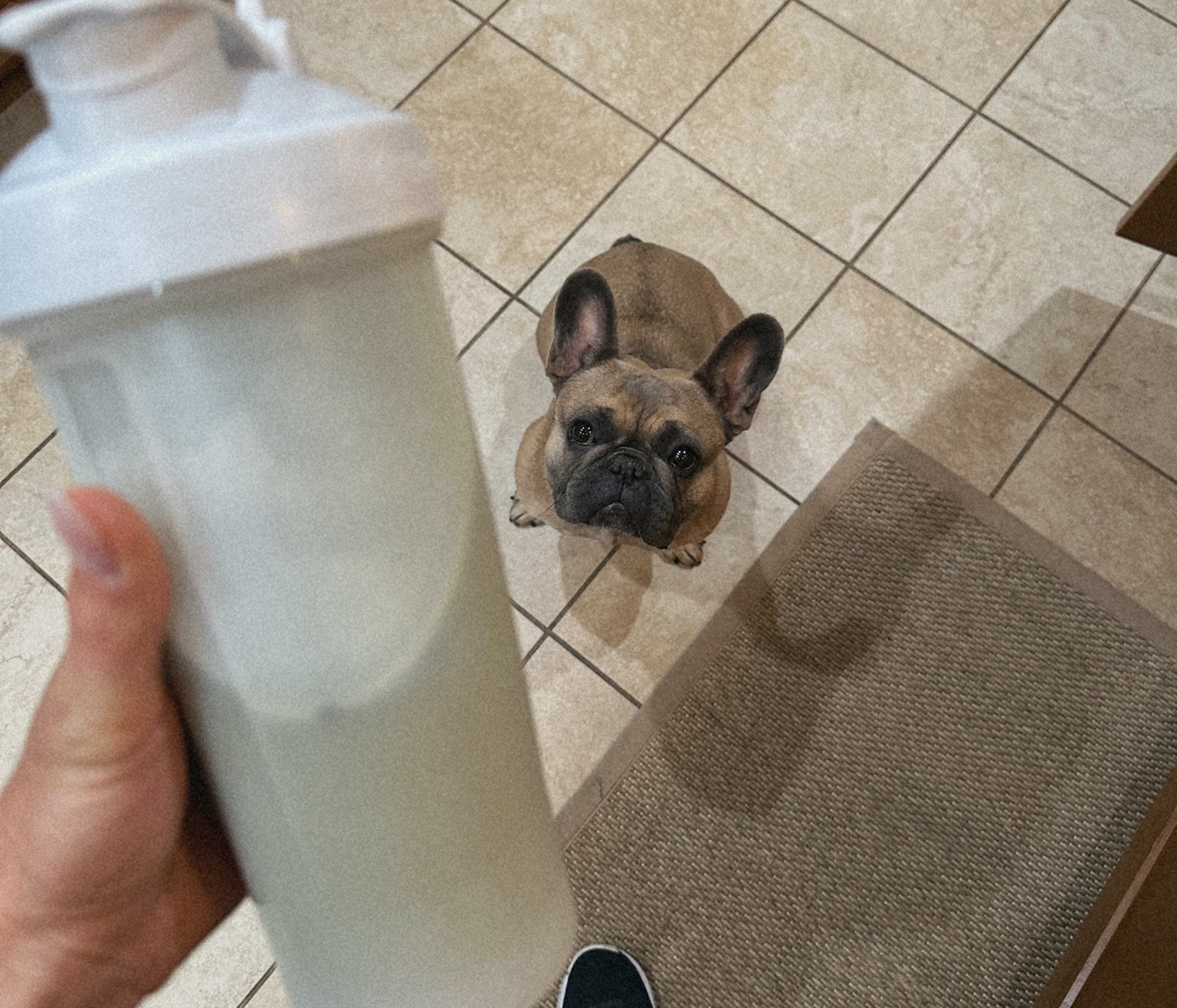 Clean (acne safe) protein shake. #ltk #acne #cleanprotein #greens 

#LTKfitness #LTKxPrime