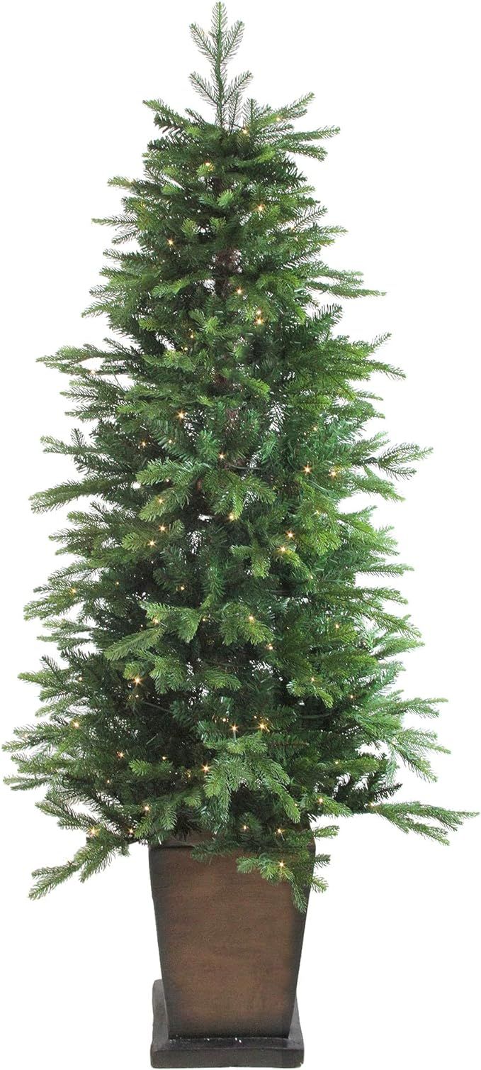 6' Pre-Lit Potted Oregon Noble Fir Slim Artificial Christmas Tree - Warm White LED Lights | Amazon (US)