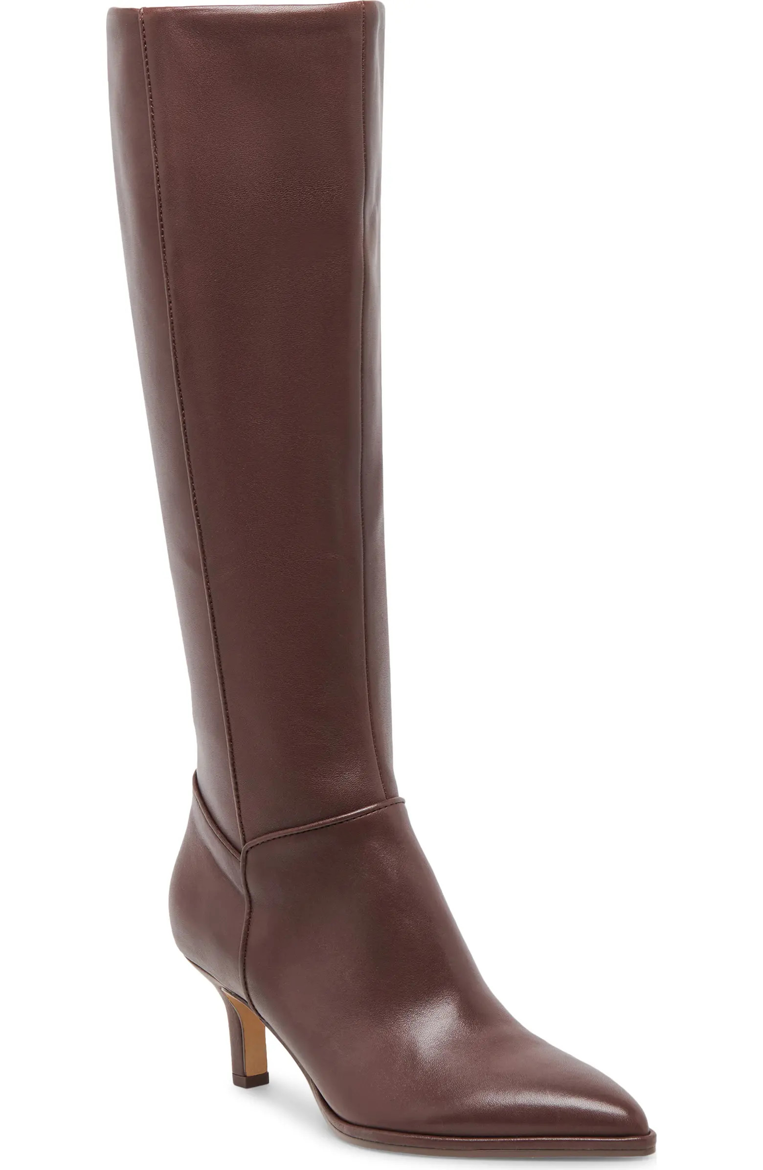 Dolce Vita Aldy Pointed Toe Knee High Boot (Women) | Nordstrom | Nordstrom