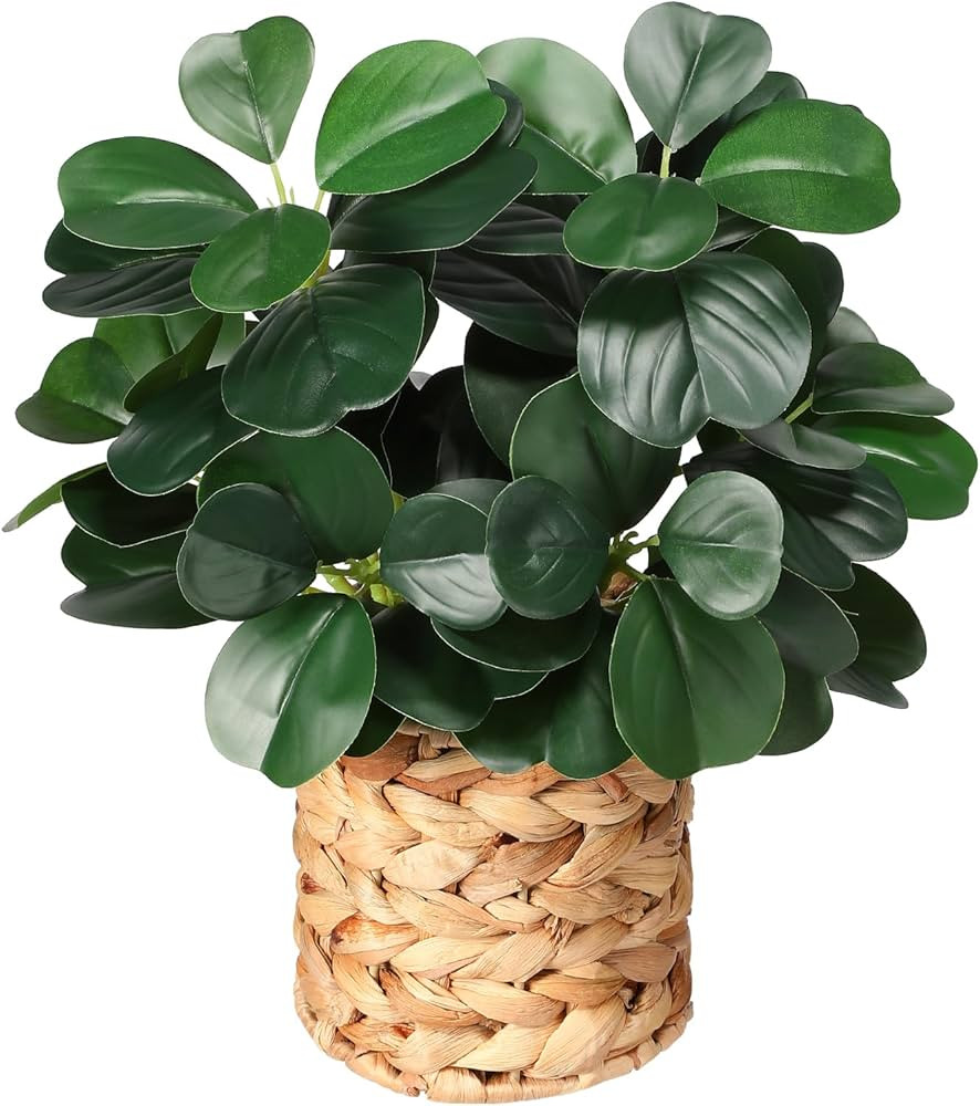 Artificial Plants Decor Greenery Indoor Fake Ficus Tree Small Fake Plants Braided Potted Fake Pla... | Amazon (US)
