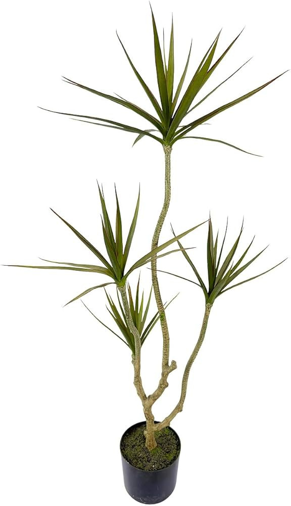 Artificial Dracaena marginata,4ft Tall Fake Plants Artificial Dracaena marginata Plants for Indoo... | Amazon (US)