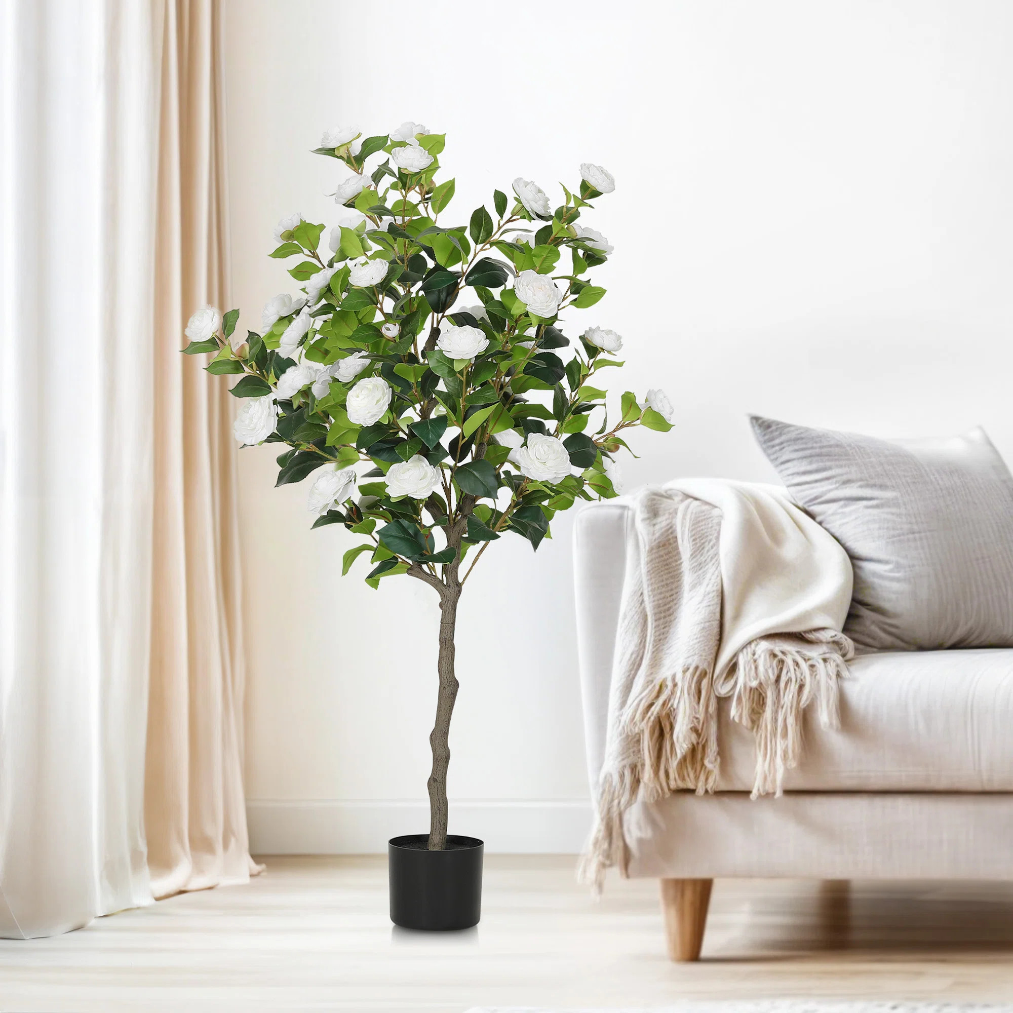 Primrue 49.2 Camellia Tree Plant | Wayfair | Wayfair North America