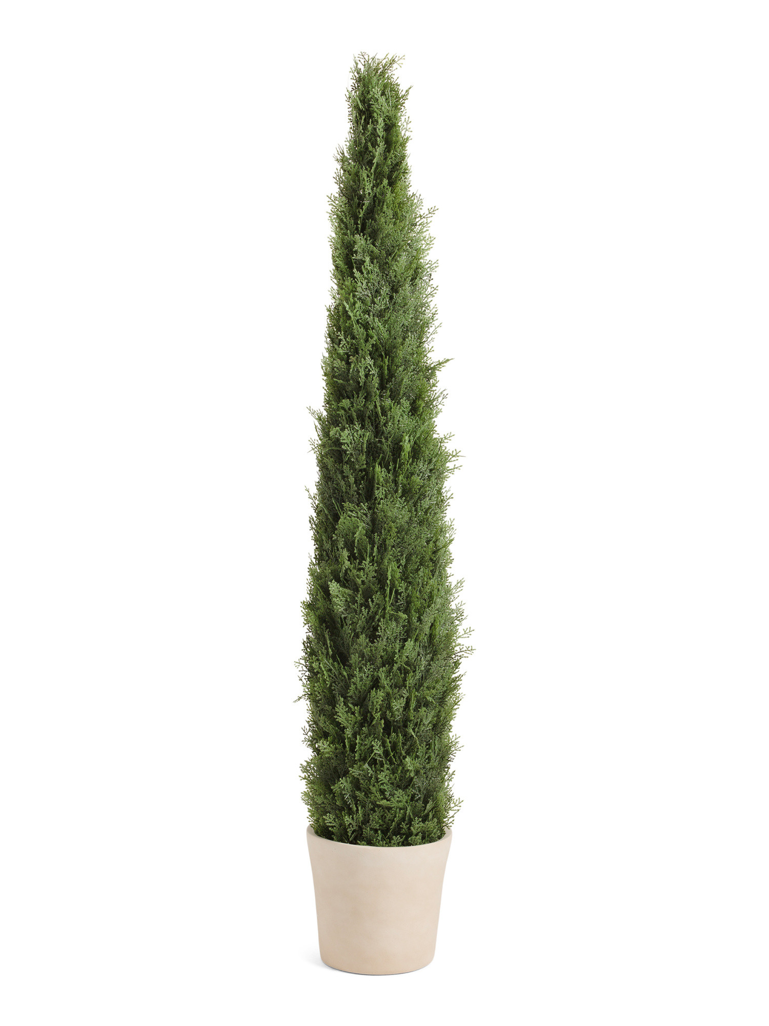 60in Outdoor Safe Potted Cypress | Marshalls