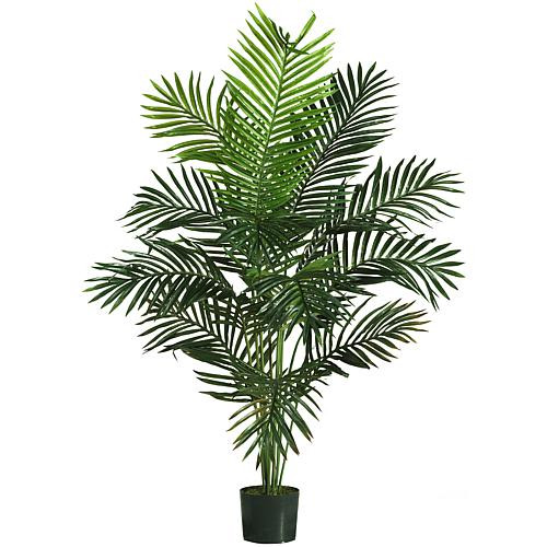Nearly Natural 5' Paradise Palm Tree with 12 Leaves | HSN