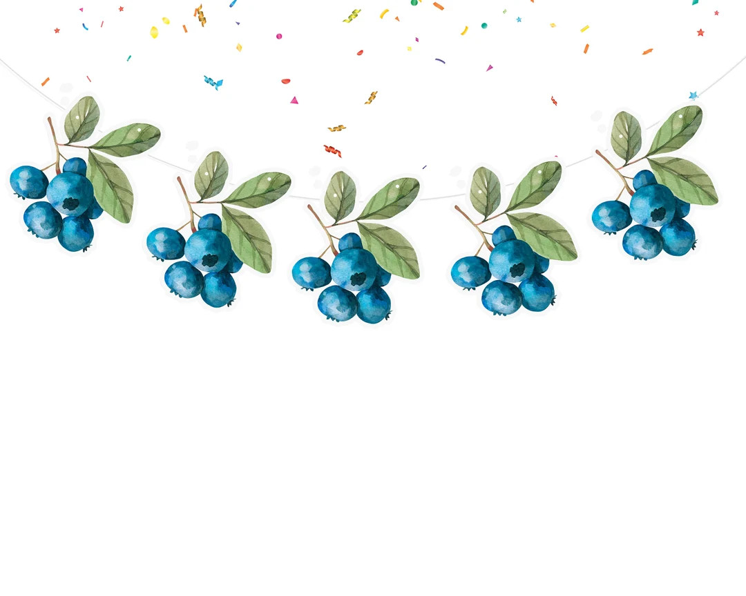 Berries Birthday Banner Cute Watercolor Summer Blueberry Party Supplies Baby Shower Birthday Deco... | Etsy (US)
