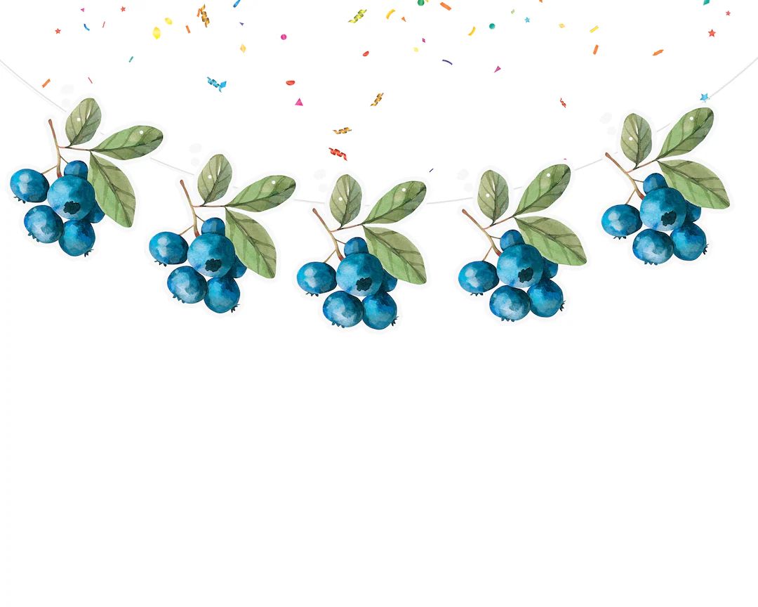 Berries Birthday Banner Cute Watercolor Summer Blueberry Party Supplies Baby Shower Birthday Deco... | Etsy (US)