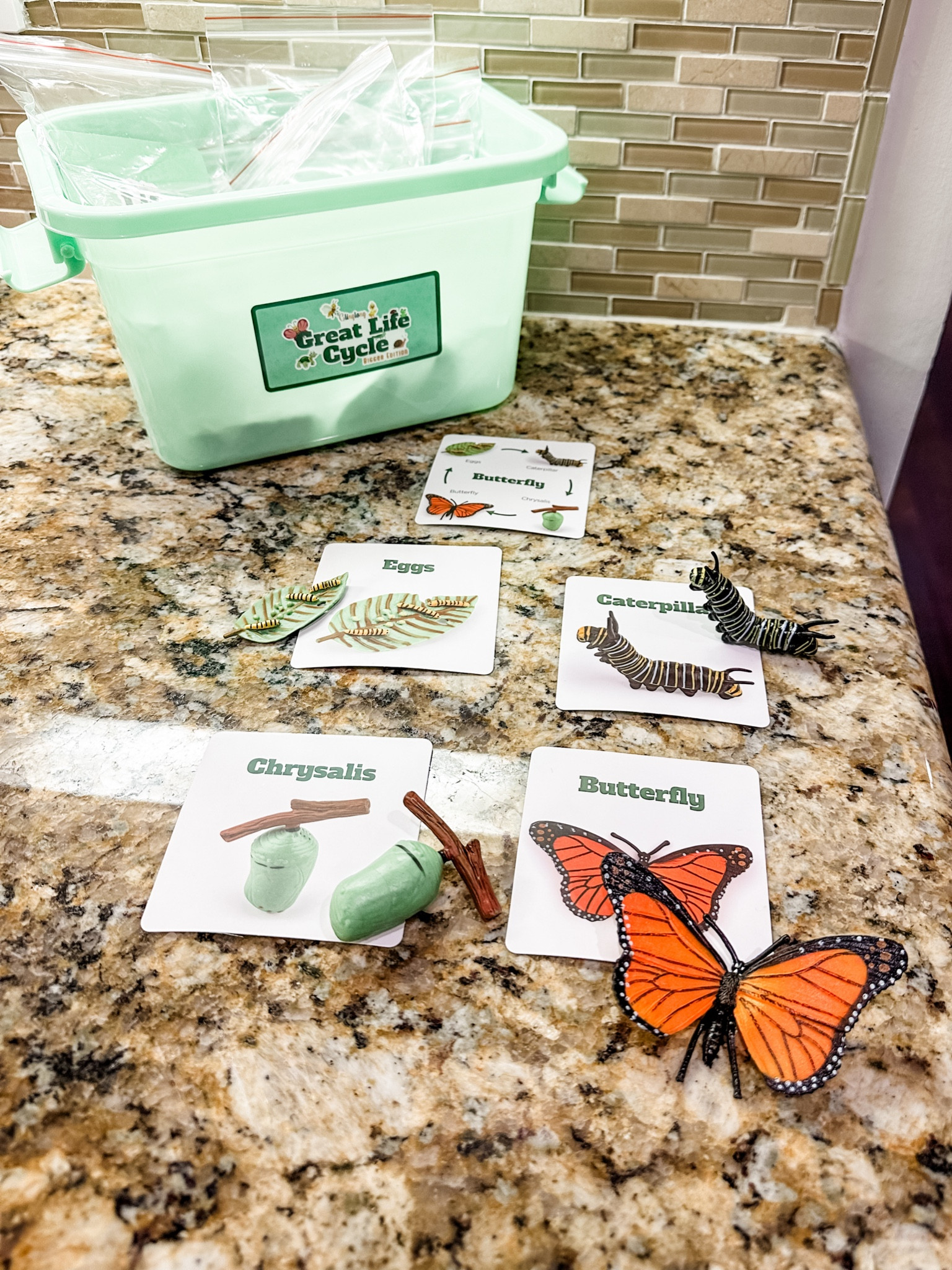 Toddler toys • toddler home schooling • homeschool preschool • educational toys • life cycle toys • STEAM toys • science toys • playroom • 

#LTKfamily #LTKbaby #LTKkids