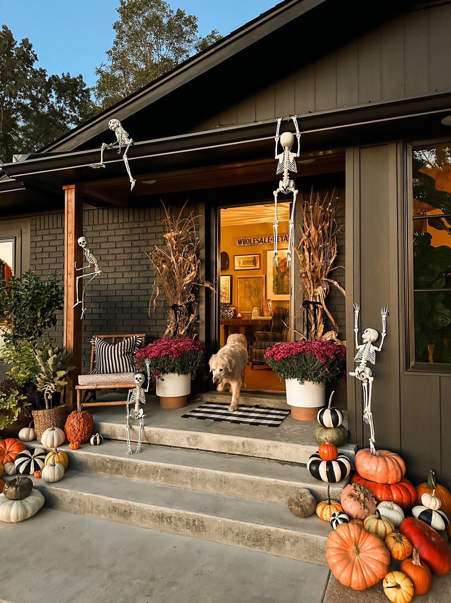 fall porch!! wanted something bright and white to pop against the black and think we nailed it with the skeletons ☠️