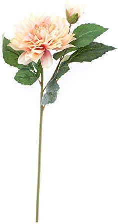 ELITE FLORAL (4 Pack) 23" Artificial Dahlia Flowers Faux Dahlia Stem (Blush), Long Artificial Sil... | Amazon (US)
