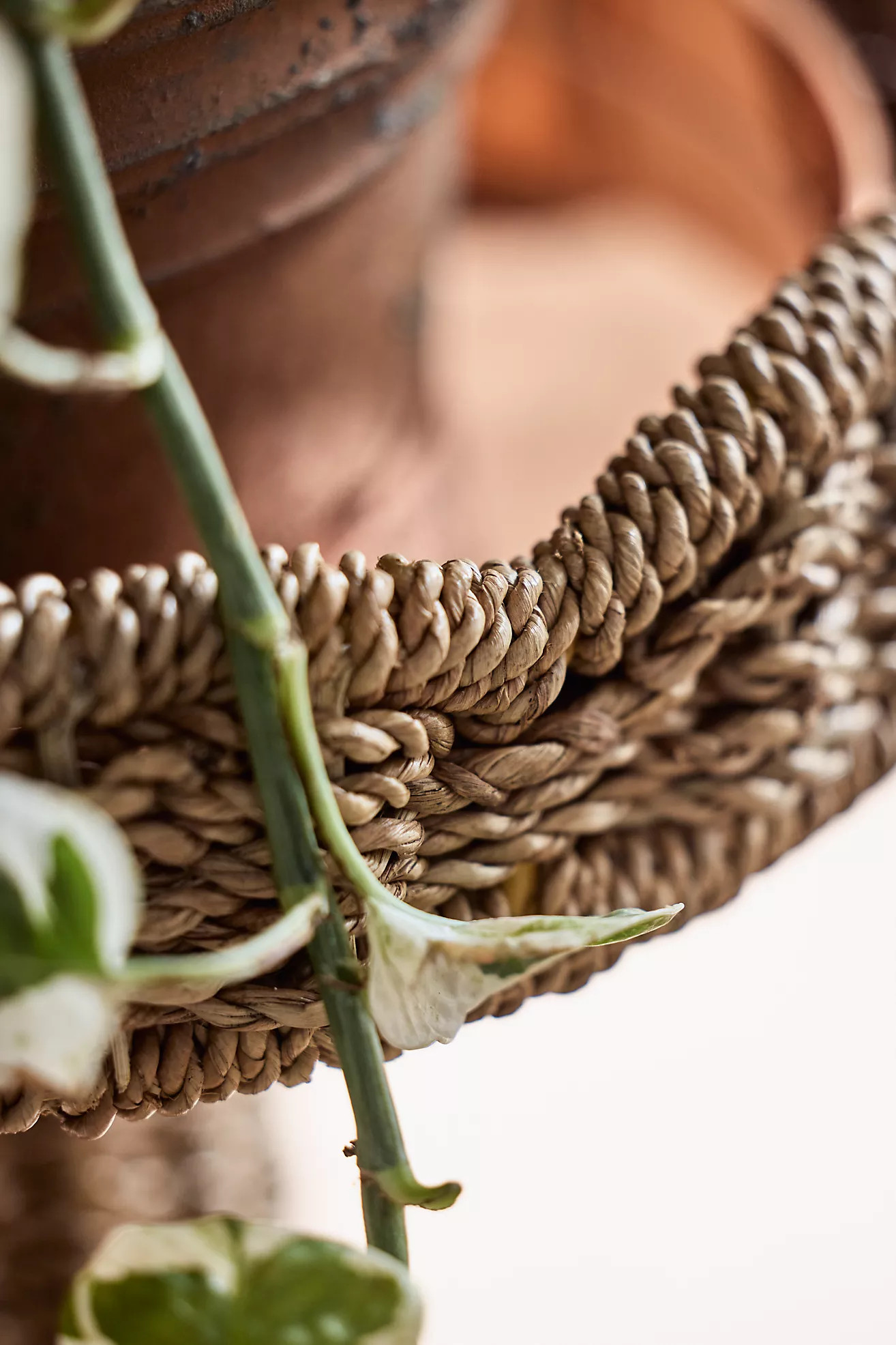 Scalloped Wicker Plant Stand | Anthropologie (US)