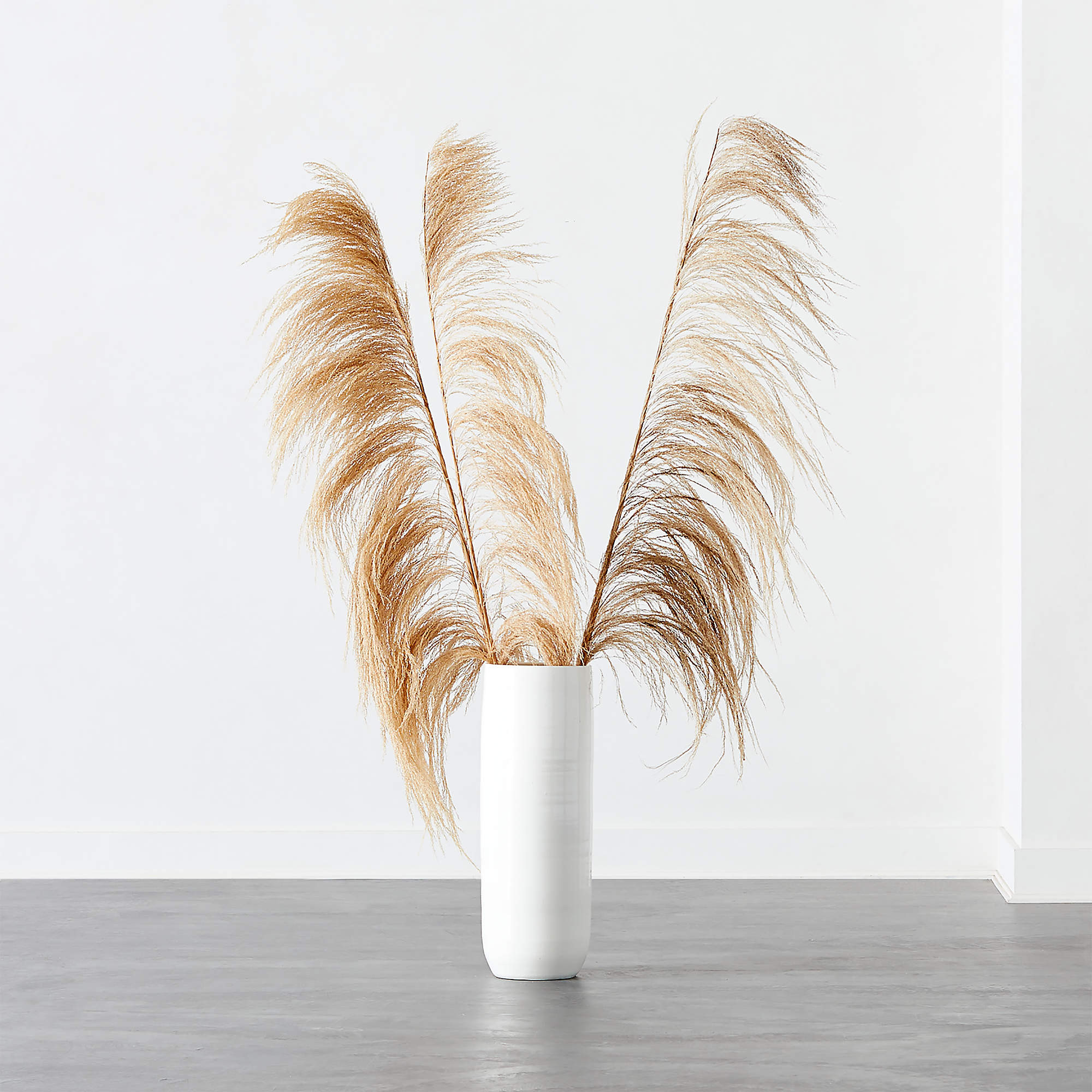 Uva Espresso Stalk 6'-8' Set of 3 + Reviews | CB2 | CB2