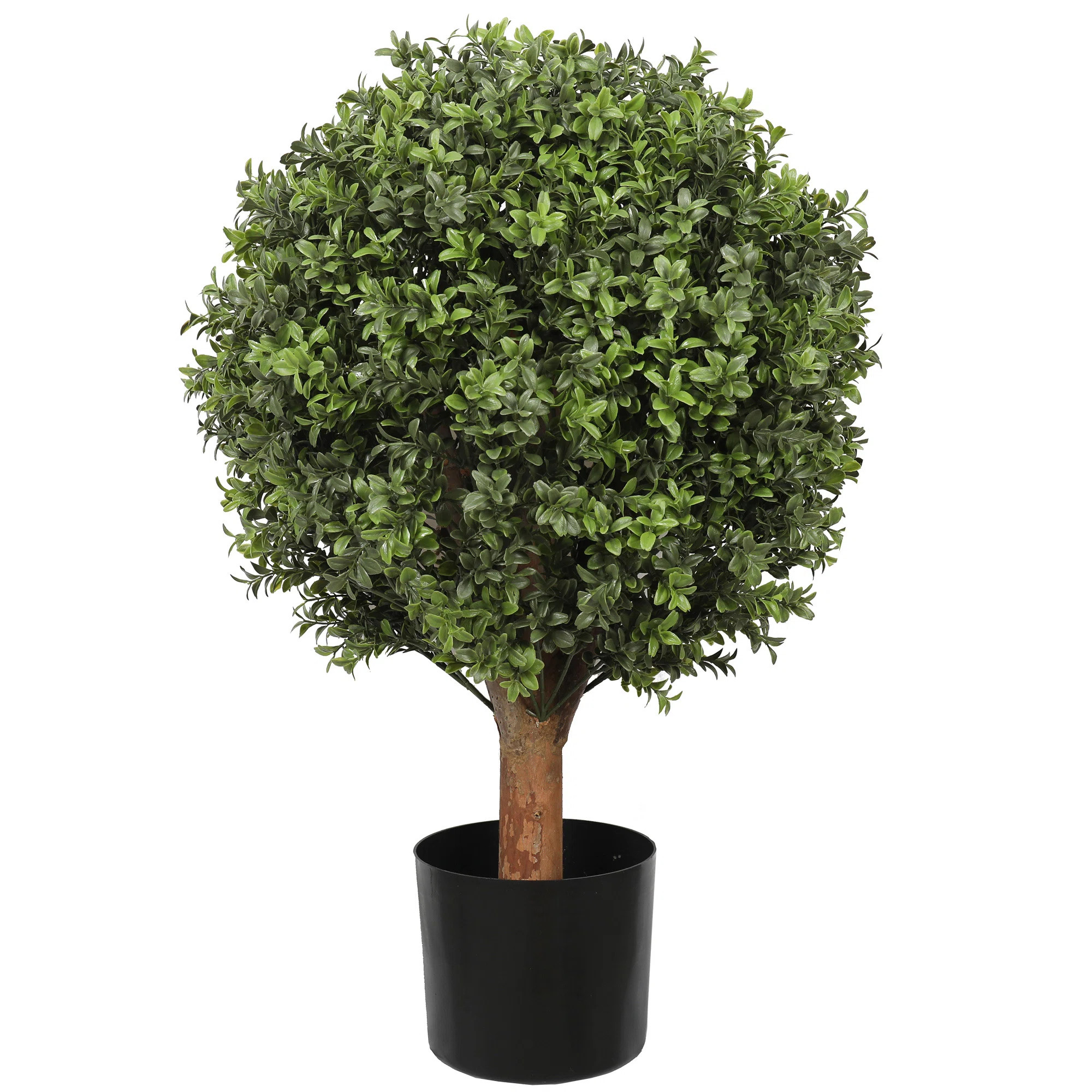 Wildon Home® UV Boxwood Ball 16 X 25" Topiary | Wayfair | Wayfair North America
