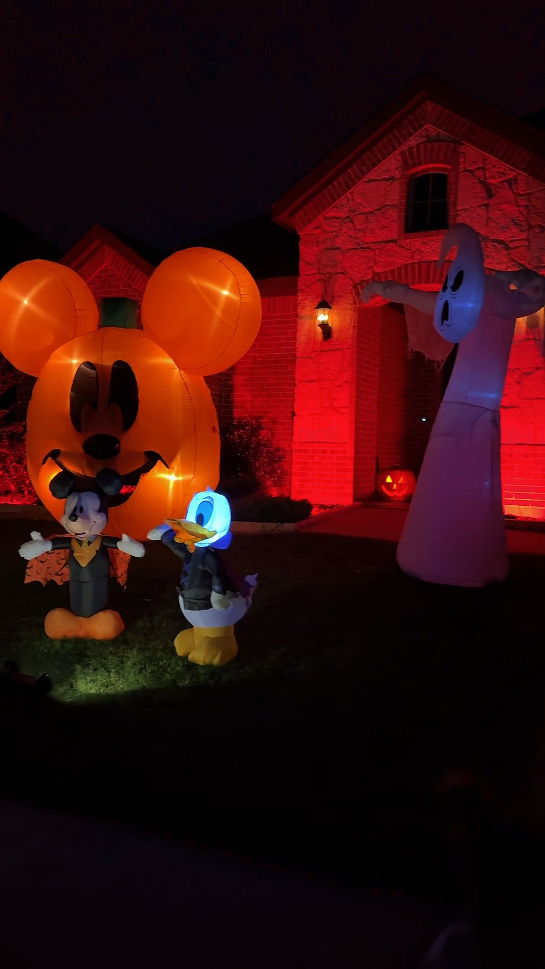 The best lighting for any holiday! 