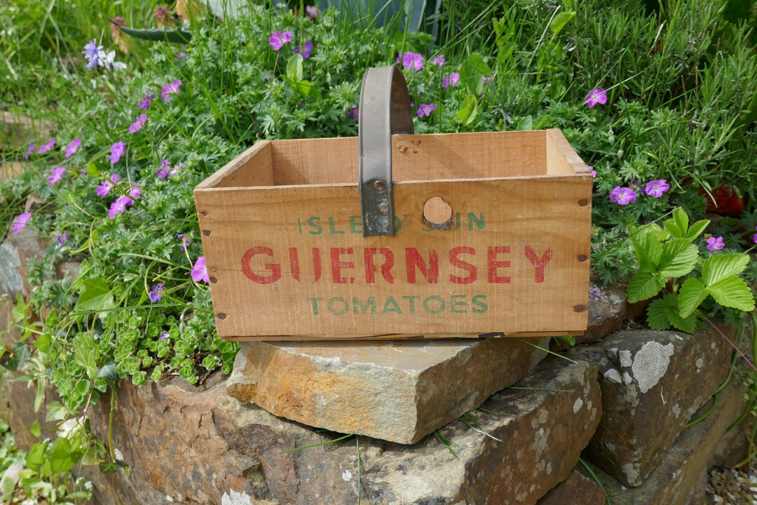 Vintage Wooden Tomatoe Crate - Vintage wooden Crate - Vintage Kitchen Crate - Wooden Trug Box - W... | Etsy (US)