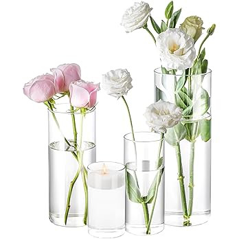 4 Pack Glass Cylinder Vases 4,6,8,10 Inch Tall Clear Flower Vase Hurricane Floating Candle Holder... | Amazon (US)