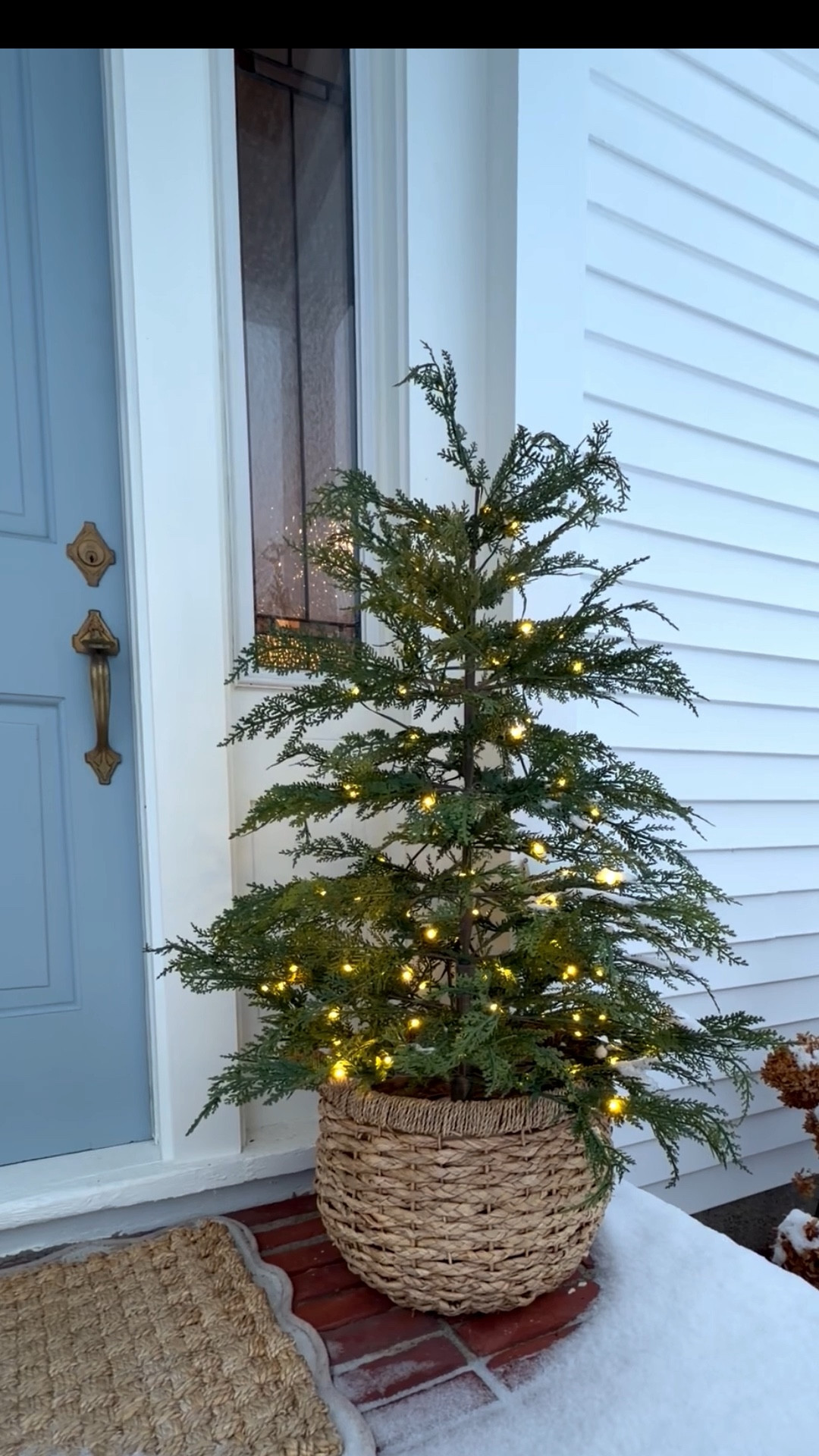 the magic is in the twinkle ✨ 

#LTKHome #LTKSeasonal #LTKFindsUnder100