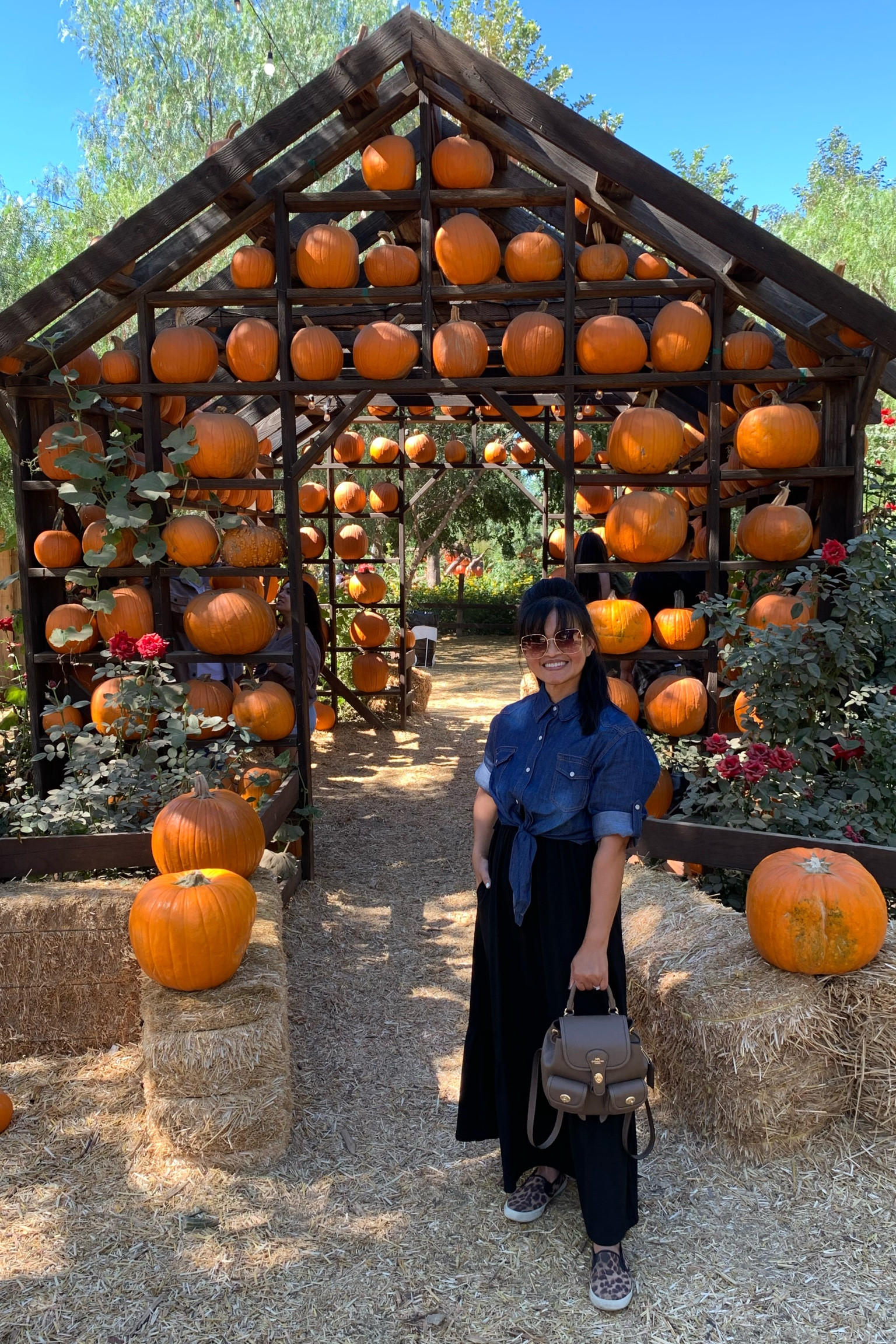 Last minute pumpkin patch outfit idea! 

All you need is a black dress or skirt, denim top, slip-on shoes, and your favorite accessories! #easypeasy 

Of course, if you aren’t pumpkin obsessed like I am, this is a great casual workwear.  #teachersassistant

#LTKfindsunder50 #LTKstyletip #LTKworkwear
