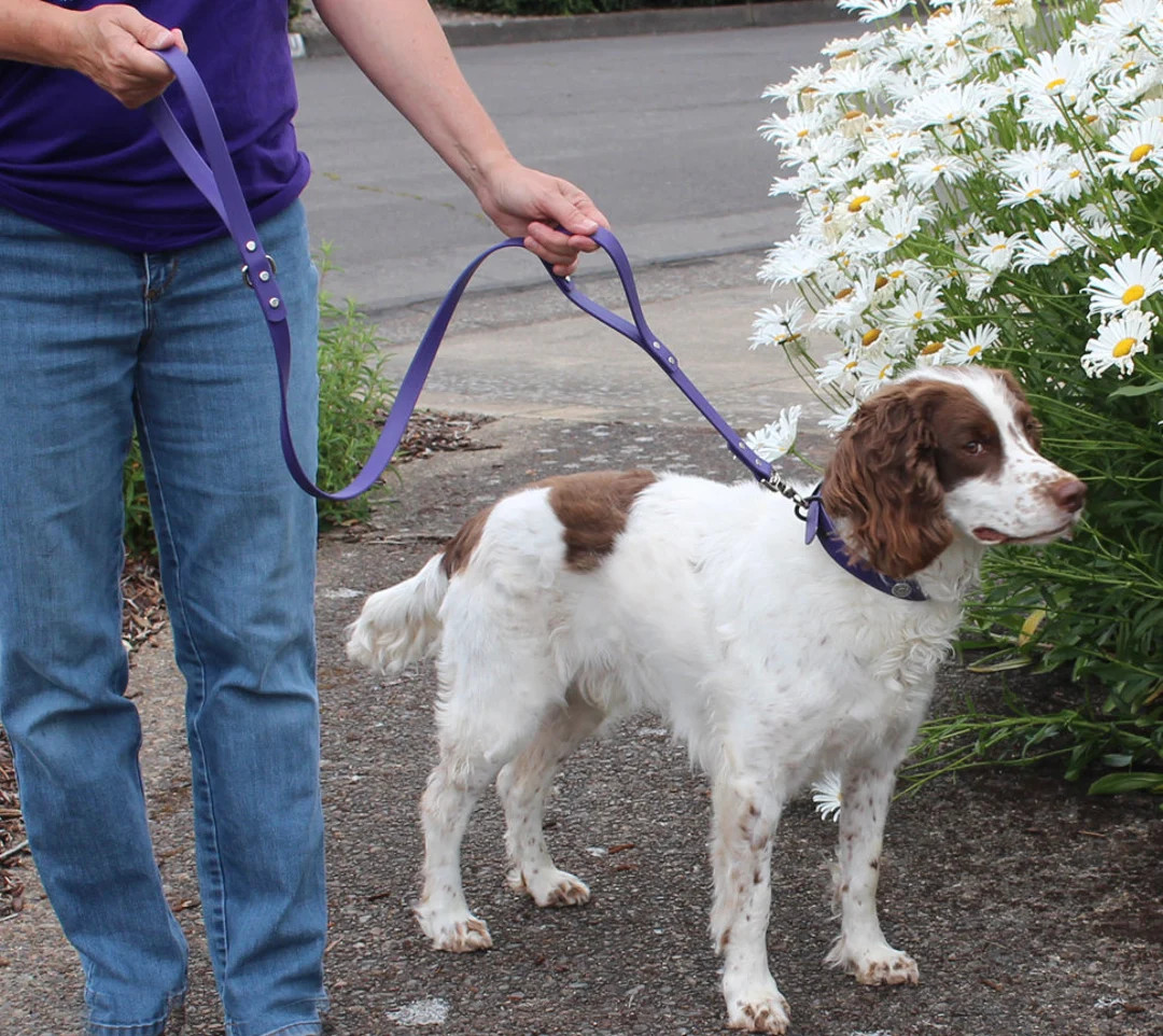 3/4" Wide BioThane® Deluxe Leash  with Built-in Traffic Handle Made With Beta Heavy BioThane® | Etsy (US)