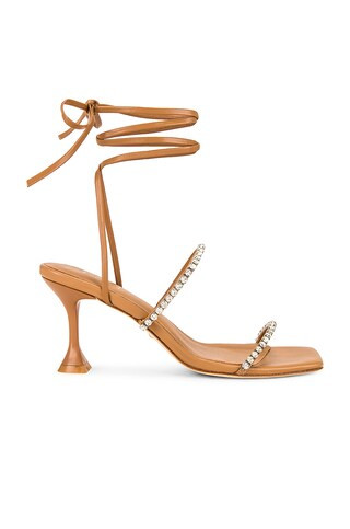 Roo Heel
                    
                    RAYE | Revolve Clothing (Global)