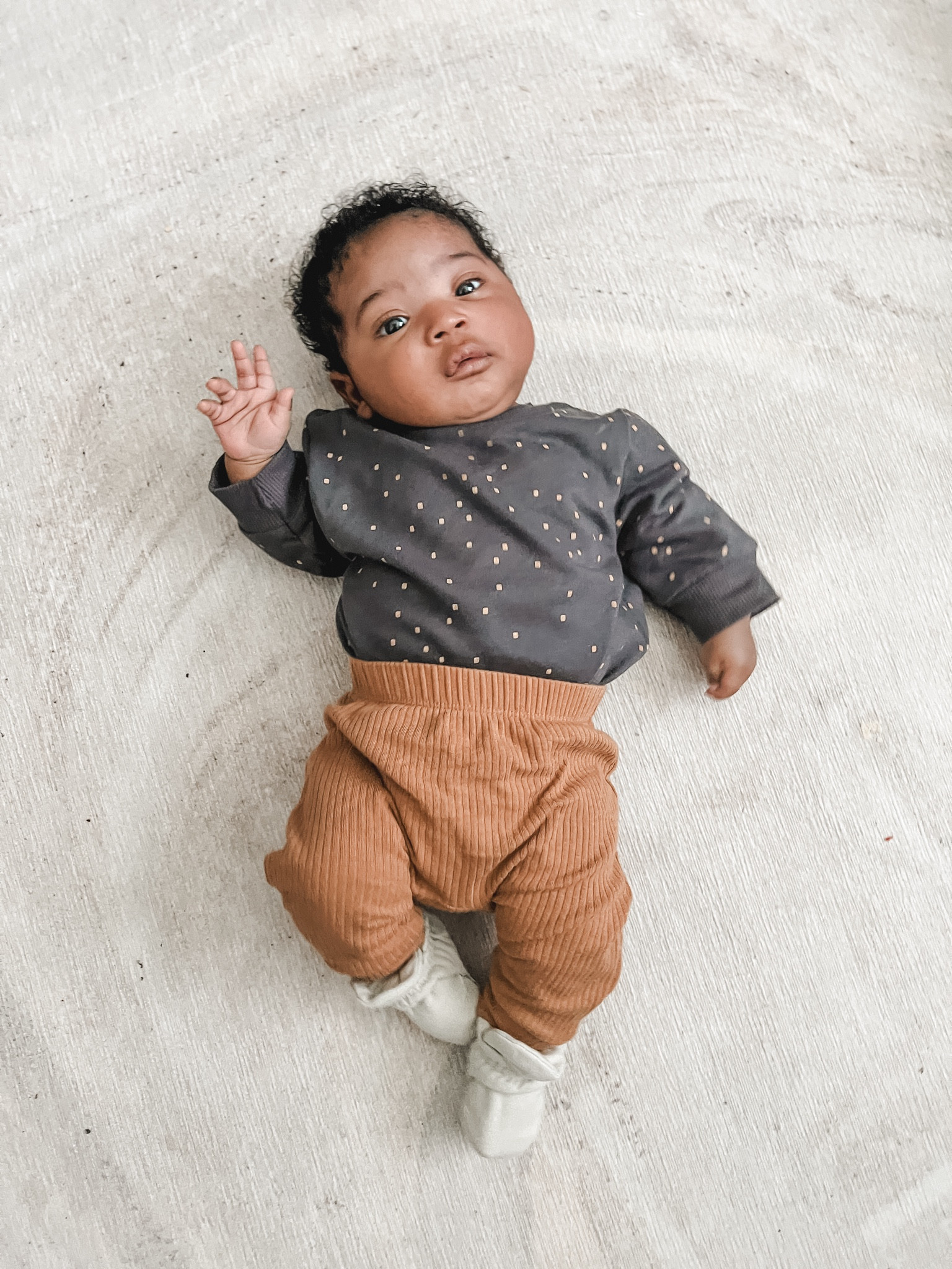 Keeping things comfy and cozy with baby sweatshirts and ribbed joggers. Still loving these little booties that stay on! 

#LTKfamily #LTKbaby #LTKkids