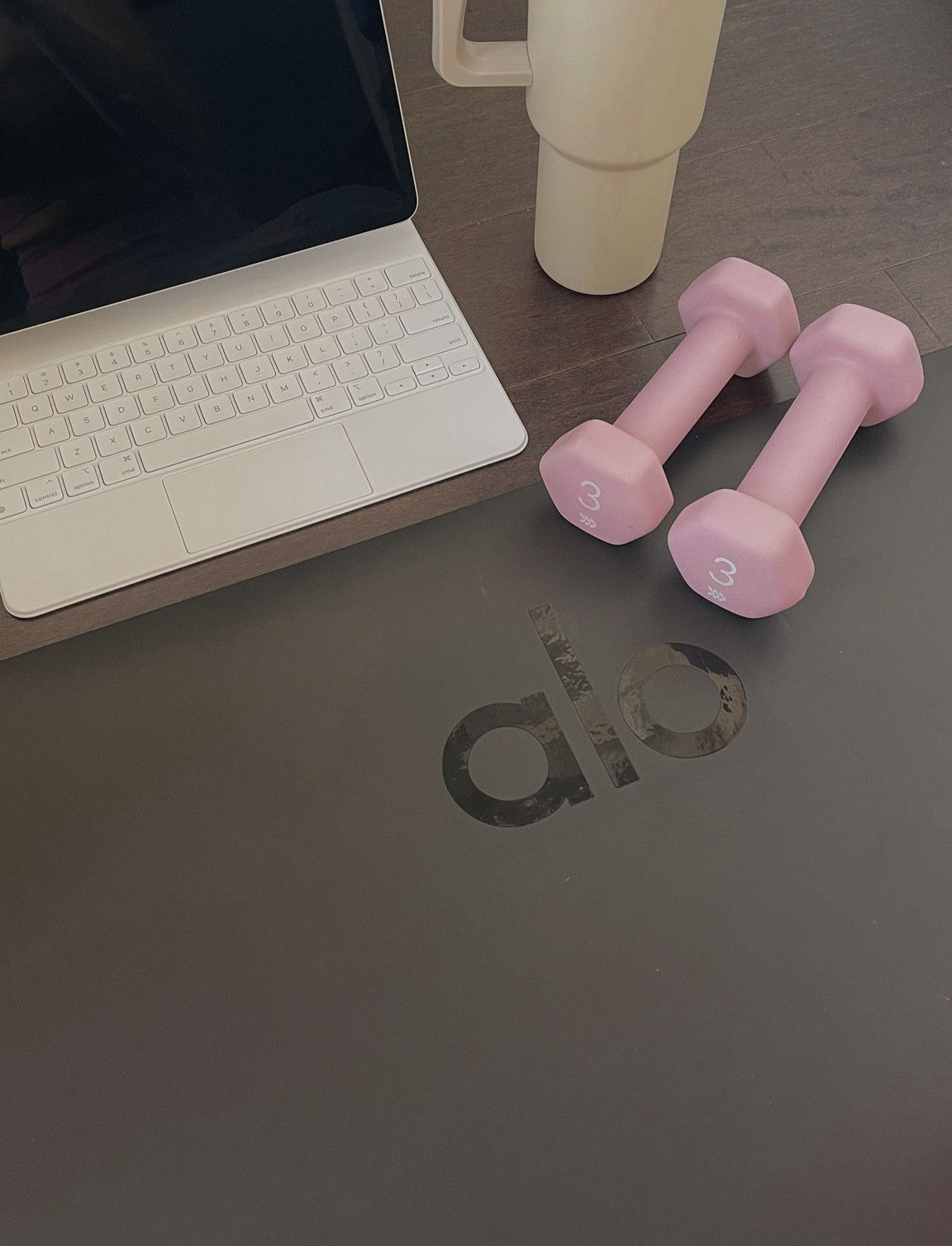 at home workout essentials 🏋️‍♀️

#LTKhome #LTKfit