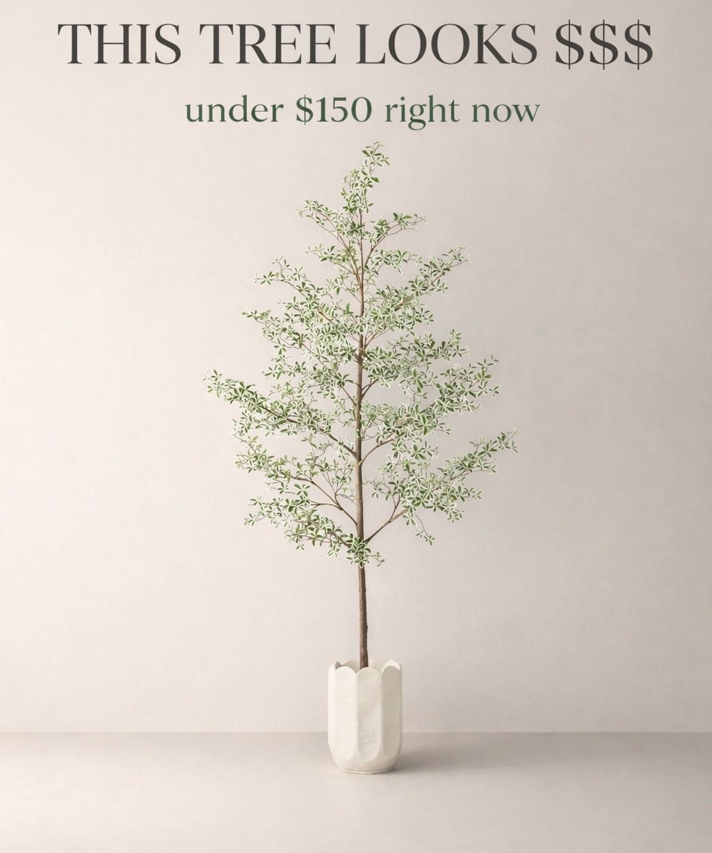 You would NEVER guess this is from Target… 👀

This tree looks SO high-end and it’s marked down right now 🙌🏻
Like the kind of piece that makes your whole space feel styled ✨

I’m telling you… this is one of those “people will ask where it’s from” finds.

And the fact it’s under $150 right now??
Yeah… it won’t last.

#LTKHome