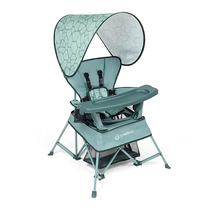 Baby Delight Go with Me Venture Portable Chair | Indoor and Outdoor | Sun Canopy | 3 Child Growth... | Amazon (US)