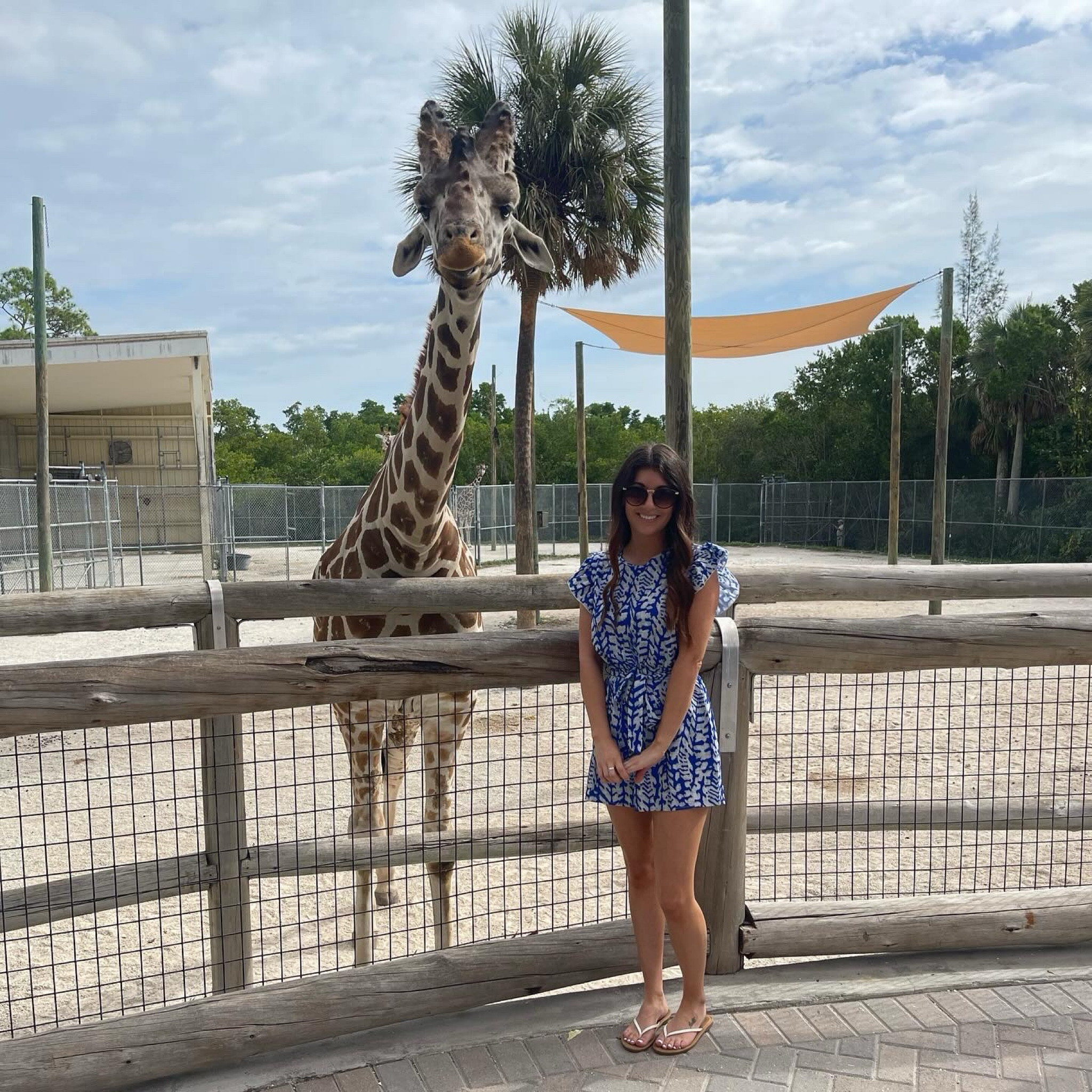 #LTKstyletip #LTKsalealert