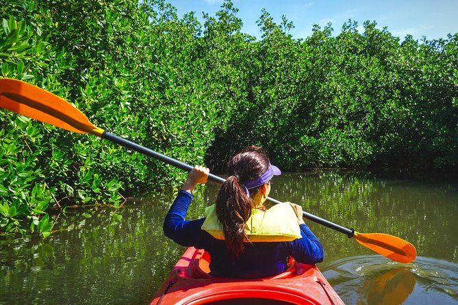Fort Lauderdale’s Tropical Kayak Tour and Island Adventure | Viator – A TripAdvisor Company (US)