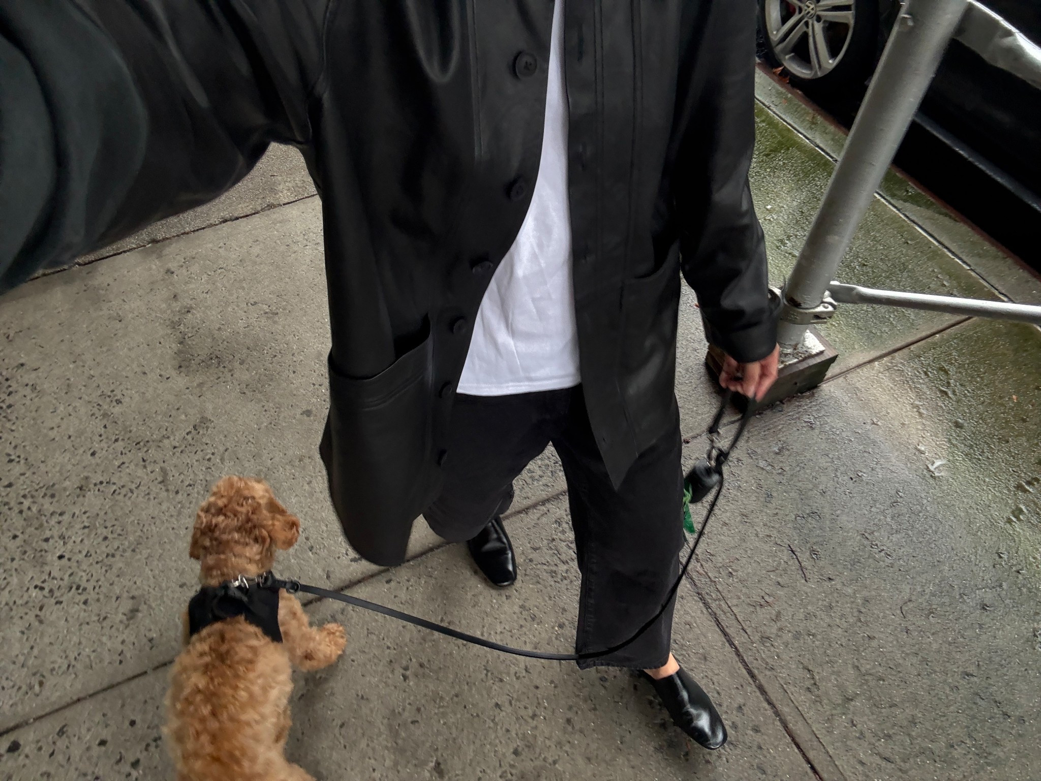 Leather version of the suede jacket linked but it’s sold out :-( wearing size medium, shoes run TTS and are comfy! 