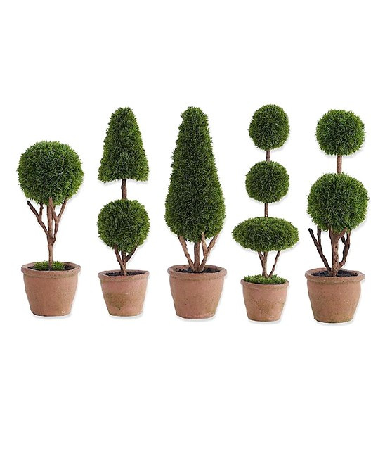 K&K Interiors Floral - Potted Cypress Topiary Tree - Set of Five | Zulily
