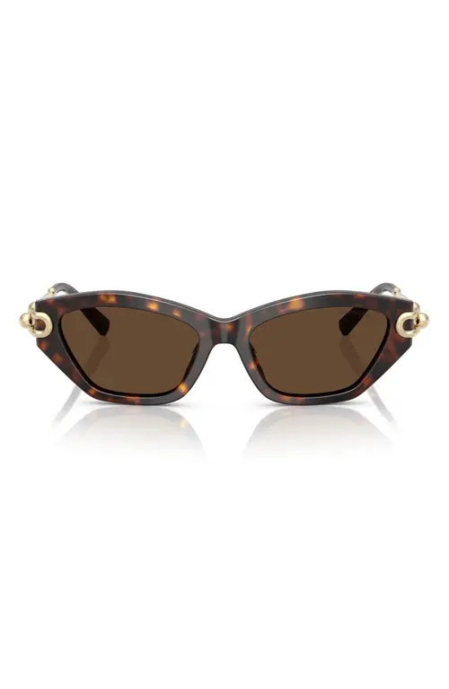 Tiffany & Co. 53mm Cat Eye Sunglasses in Havana /Light Brown at Nordstrom | Nordstrom