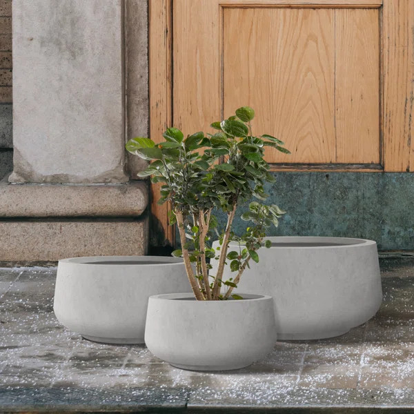 Kante 3 Piece 21.6", 16.9", and 12.5"W Round Concrete Elegant Planters, Outdoor Indoor Modern Pla... | Wayfair North America