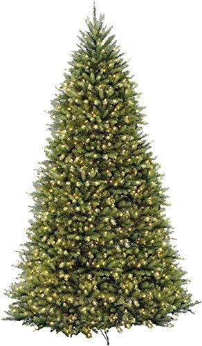 National Tree Company Pre-lit Artificial Christmas Tree | Includes Pre-strung White Lights| Dunhi... | Amazon (US)