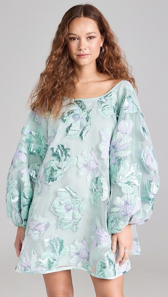Arianne Elmy Sky Blue Magnolia Floral Organza Good Luck Dress | Shopbop | Shopbop