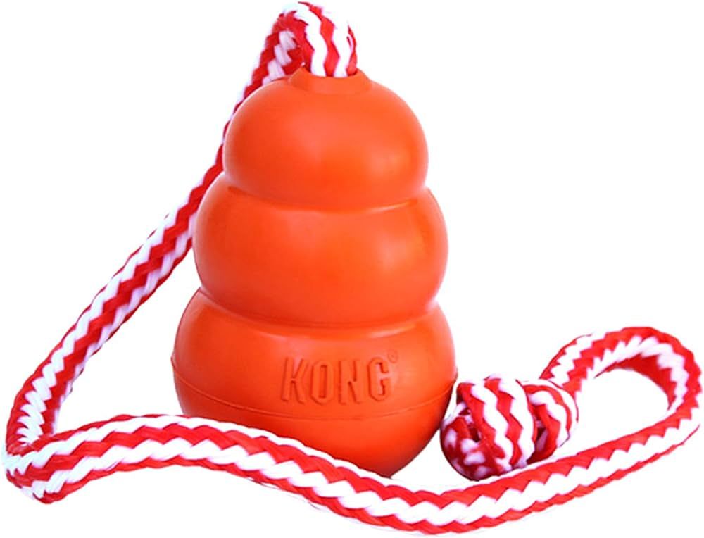 KONG - Aqua - Floating Fetch Toy for Water Play - for Large Dogs | Amazon (US)