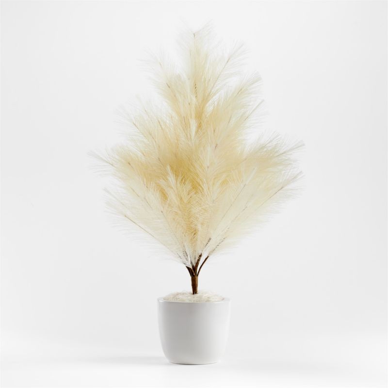 Faux Pampas Tree in Pot 28" | Crate and Barrel | Crate & Barrel