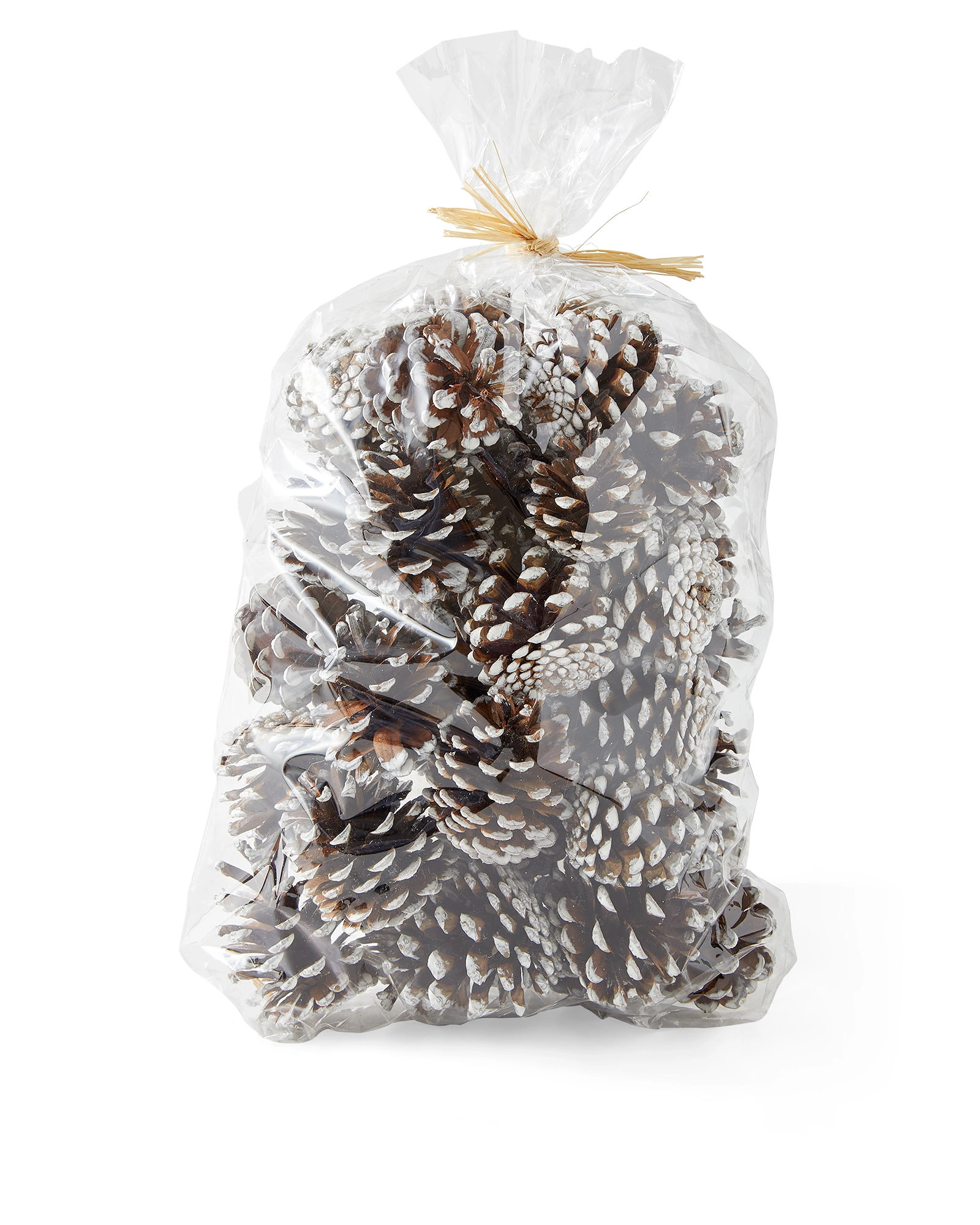 Flocked Pinecone Vase Filler | Serena and Lily