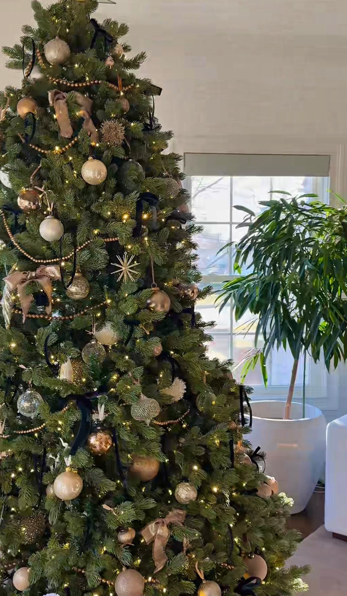 Holiday 2025 Christmas tree inspo

#christmas #holidaydecor

#LTKHoliday #LTKSeasonal #LTKHome