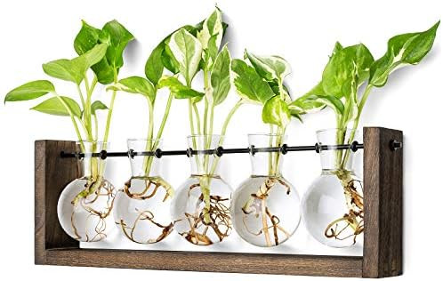 Mkono Plant Terrarium with Wooden Stand, Wall Hanging Glass Planter Desktop Plant Propagation Vase w | Amazon (US)