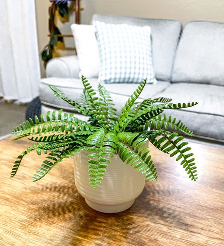 $5 Target finds: artificial plant and ceramic planter. 




Target home, home decor, Target planters, spring decor 

#LTKSeasonal #LTKhome #LTKfindsunder50