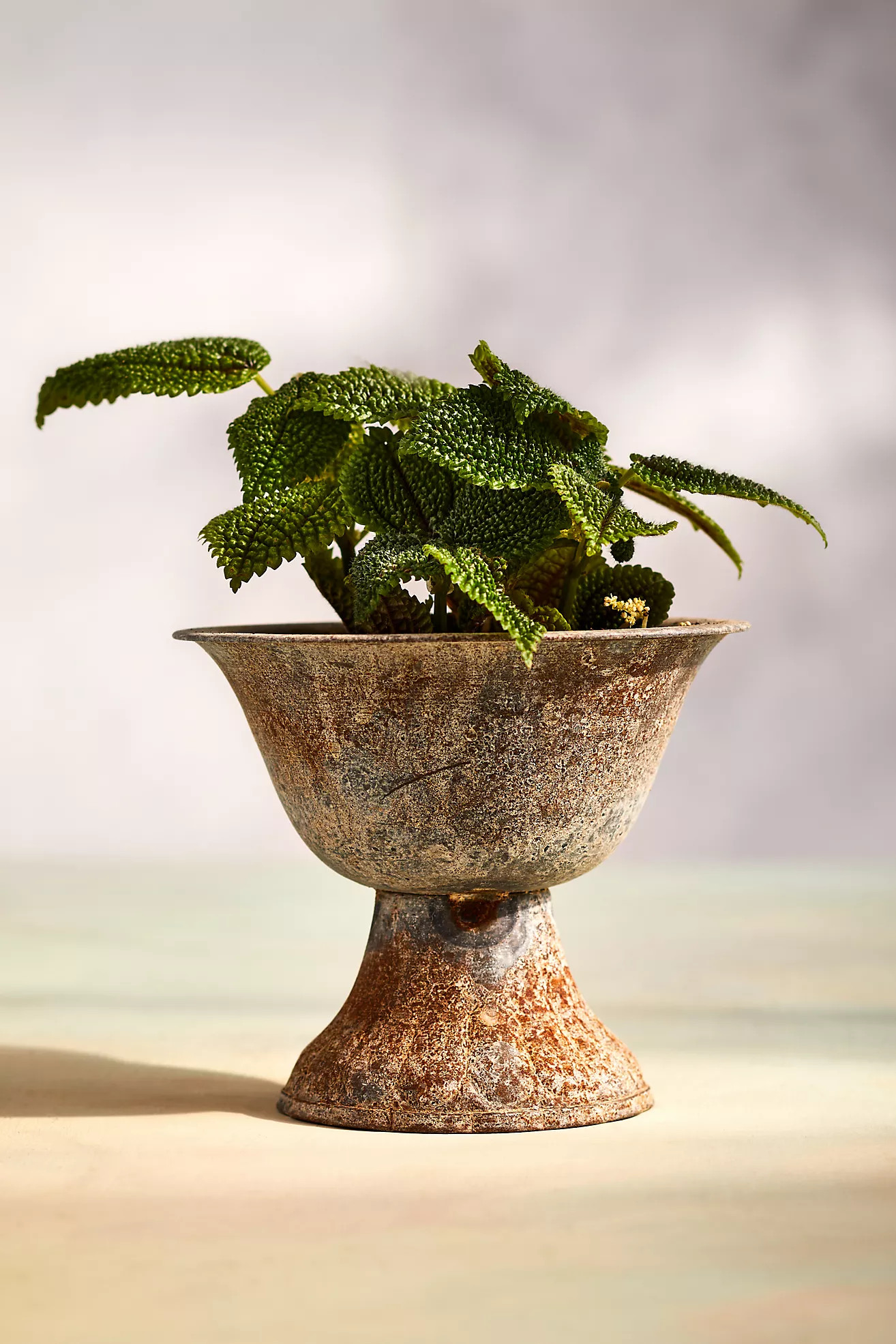 Fluted Iron Urn Planter | Anthropologie (US)