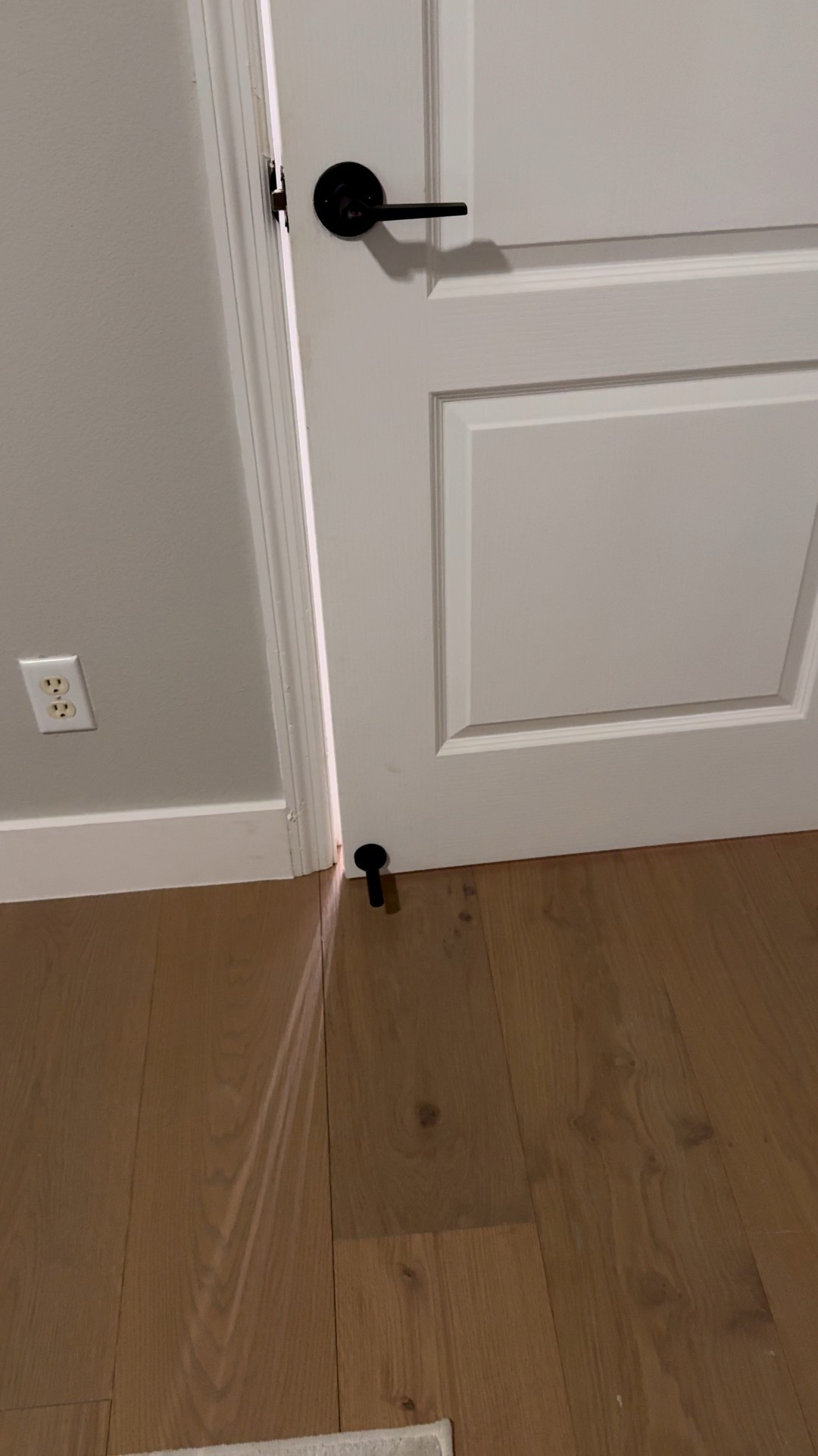 Easy, affordable home updates from Amazon 

#LTKHome #LTKSeasonal #LTKFamily