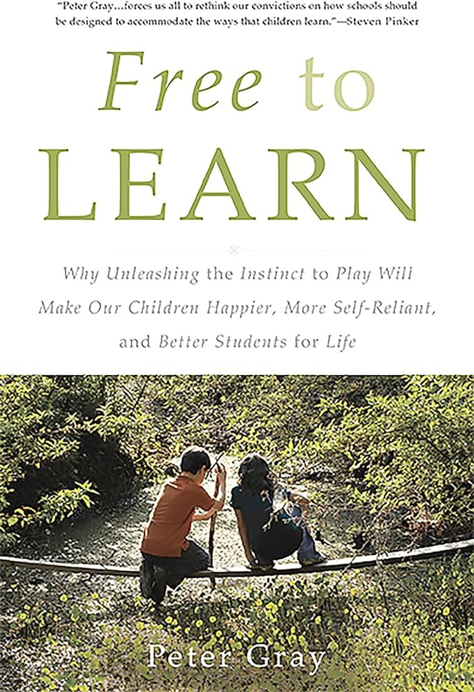 Free to Learn: Why Unleashing the Instinct to Play Will Make Our Children Happier, More Self-Reli... | Amazon (US)