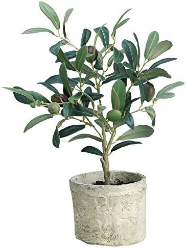 Green Plastic Potted Olive Tree - 12"H | Amazon (US)